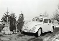 3568 - VW K&auml;fer