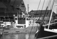 2668 - Hafen 1979