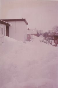1979 - Winter Februar - 2
