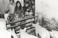 1980 - Auf dem Bauernhof - 4