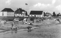 0033 - 1962 Am Strand- Pelzerhaken