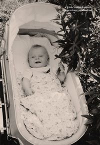 3066 - Kinderwagen Baby
