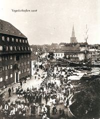 0478 - Vogelschie&szlig;en 1908