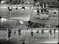 4811 - A3 - TSV Handball 1963