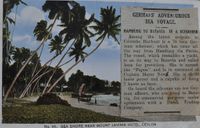 2949 - Klahn - Papua Zeitungartikel Ceylon
