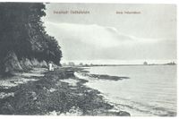 0446 - Strand - Beim Pelzerhaken 1918